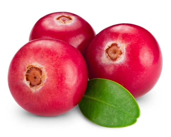 Cranberries — Stock Photo, Image