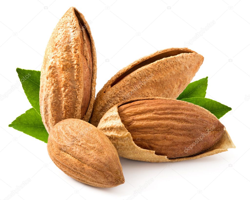 Almond nut 