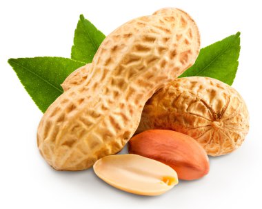 Fıstık