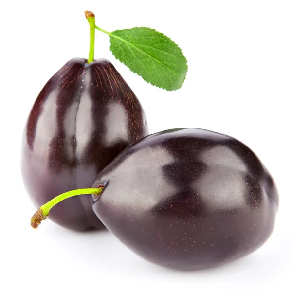 Plums — Stock Photo, Image