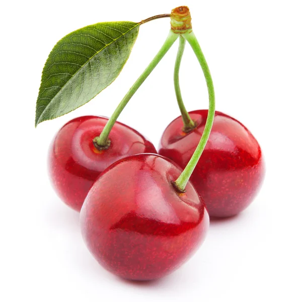 Cherry isolated — Stock Photo, Image