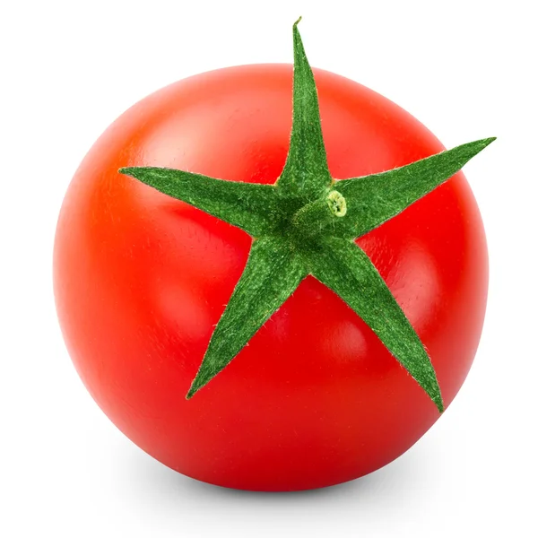 Tomate — Foto de Stock