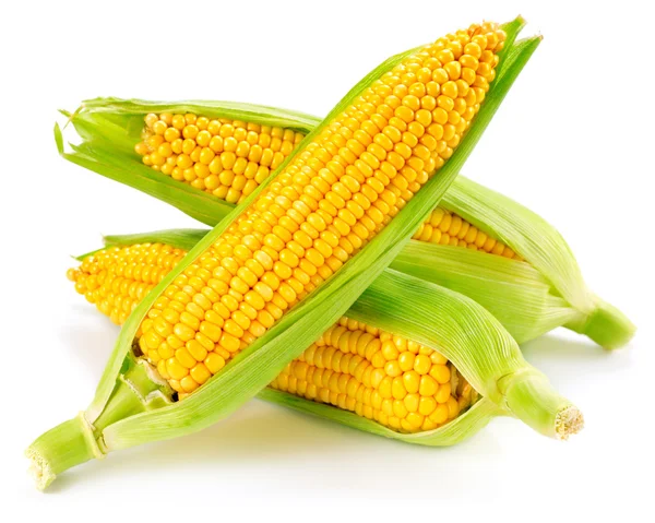 Corn — Stock Photo, Image