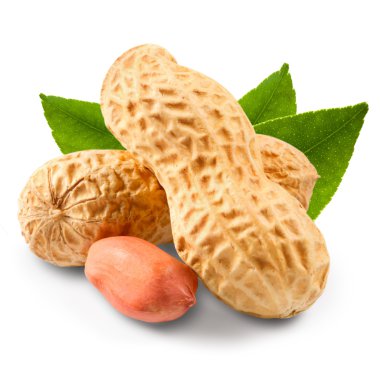 Fıstık