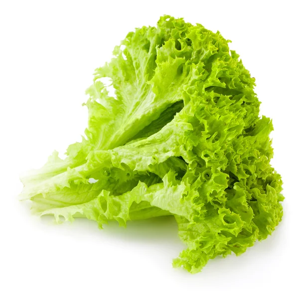 Kopfsalat — Stockfoto