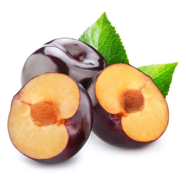 Plum — Stock Photo, Image