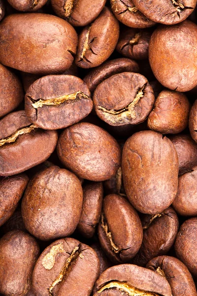 Coffee beans — Stock Photo, Image