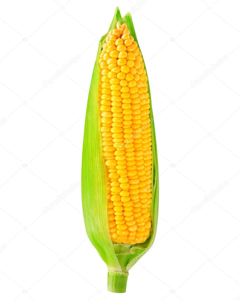 corn