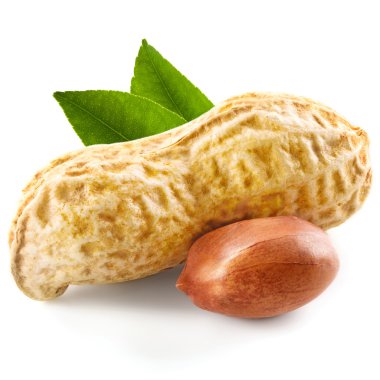 Fıstık