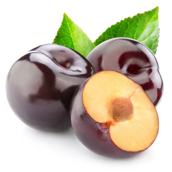 Plum — Stock Photo, Image