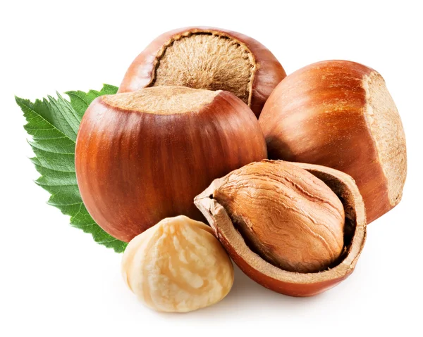 Hazelnuts — Stock fotografie