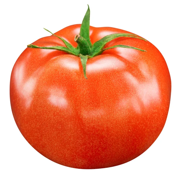 Pomodoro — Foto Stock