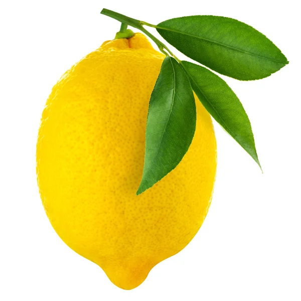 Lemons — Stock Photo, Image