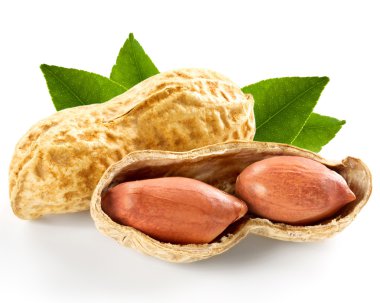 Fıstık 