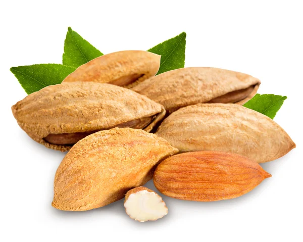 Almond isolated — Stock Photo, Image
