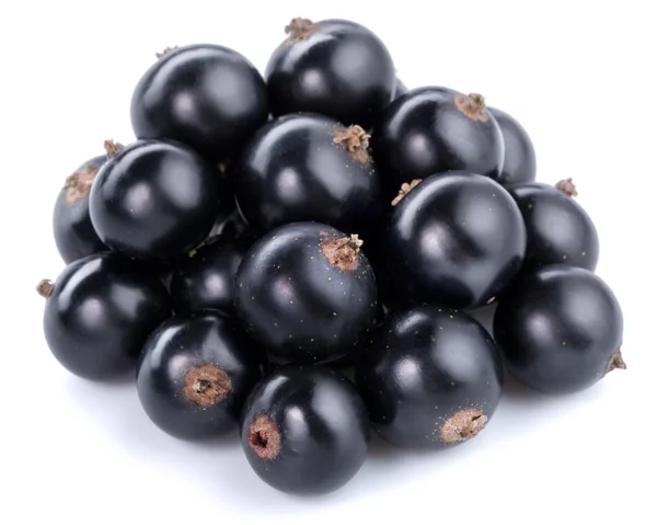 Black currant — Stock Photo, Image