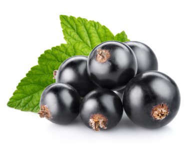 Siyah frenk üzümü 