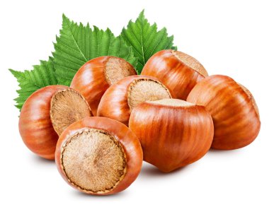 fındık