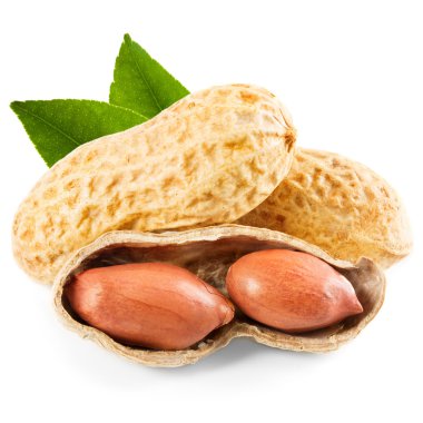 Fıstık