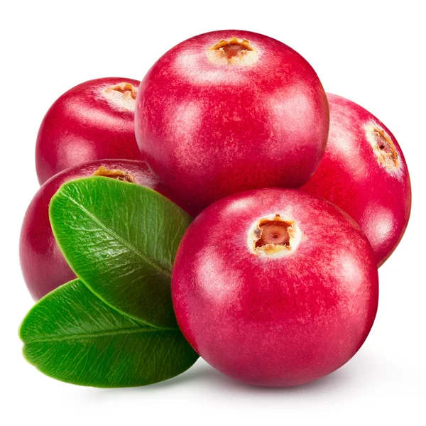 Cranberries — Stock Photo, Image