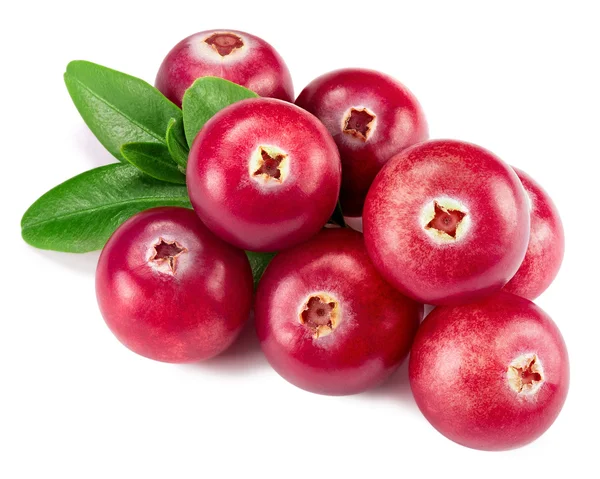 Cranberries — Stock Photo, Image