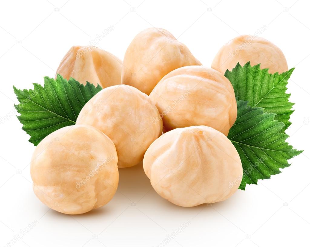 Hazelnuts isolated