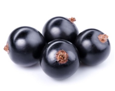 Siyah frenk üzümü