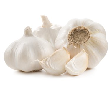 garlic clipart