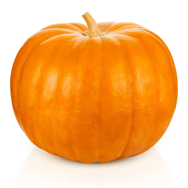 Pumpkin — Stock Photo, Image