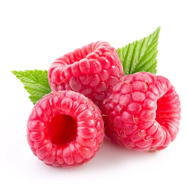 Himbeeren — Stockfoto