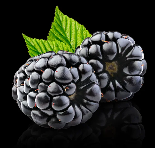 Blackberries — Stock Photo, Image