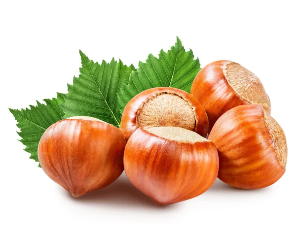 Hazelnuts — Stock fotografie