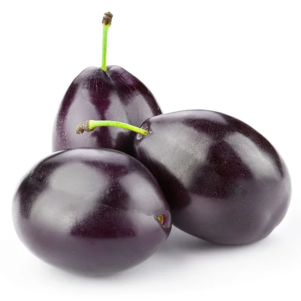 Plum terisolasi — Stok Foto