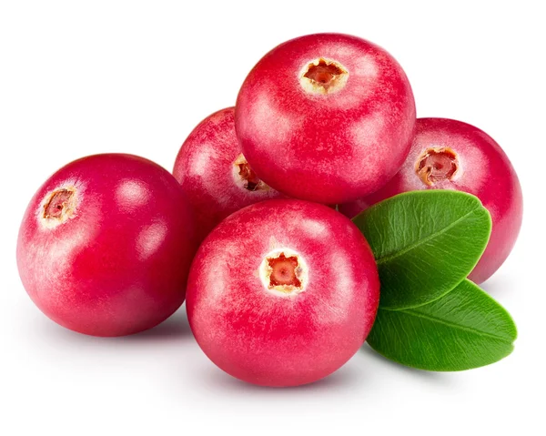 Cranberries fruit — Stock Photo, Image