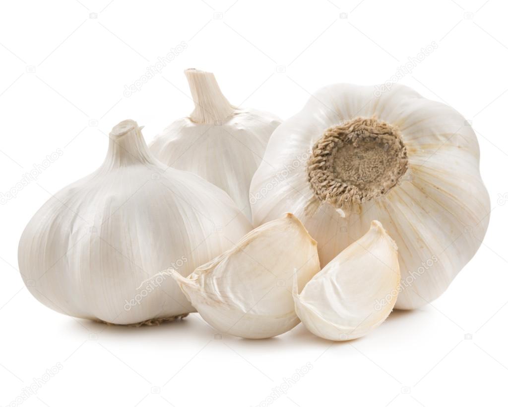 garlic