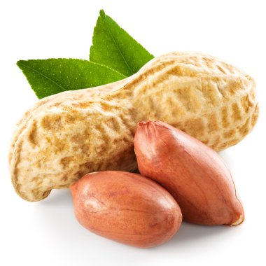 Fıstık