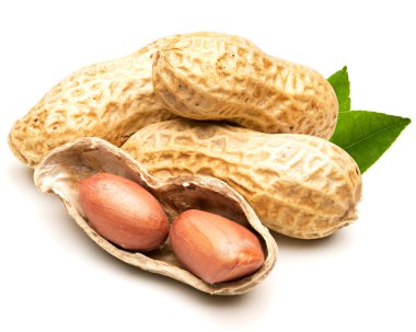 Fıstık