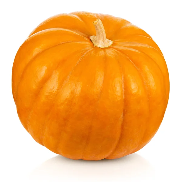 Pumpkin Royalty Free Stock Images