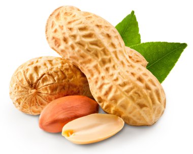 Fıstık