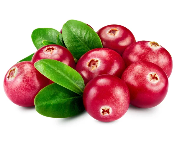 Cranberries — Stock Photo, Image