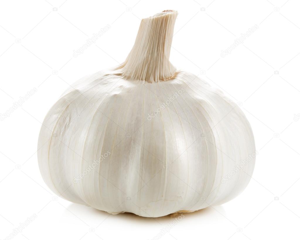 garlic isolated