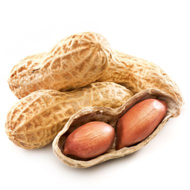 Fıstık