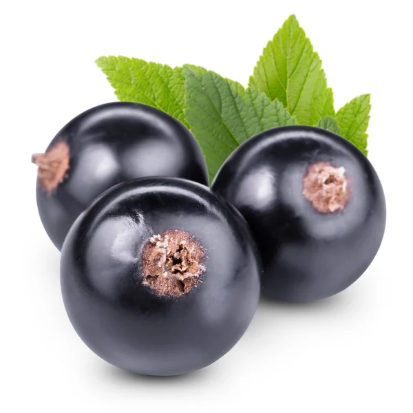 Black currants — Stock Photo, Image