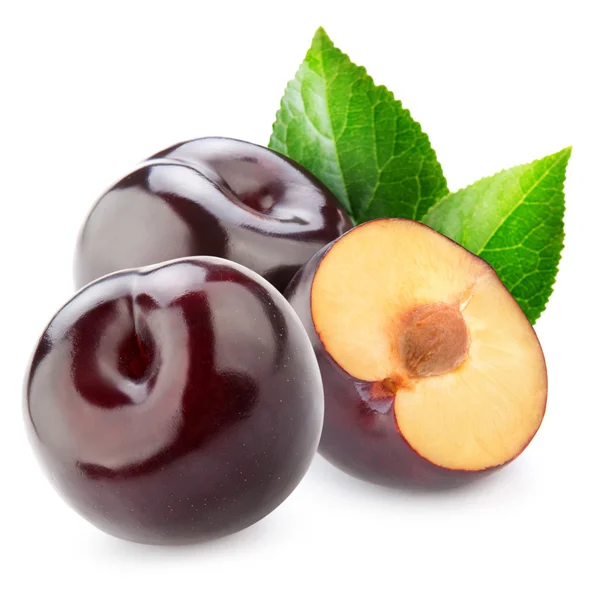 Plum — Stock Photo, Image