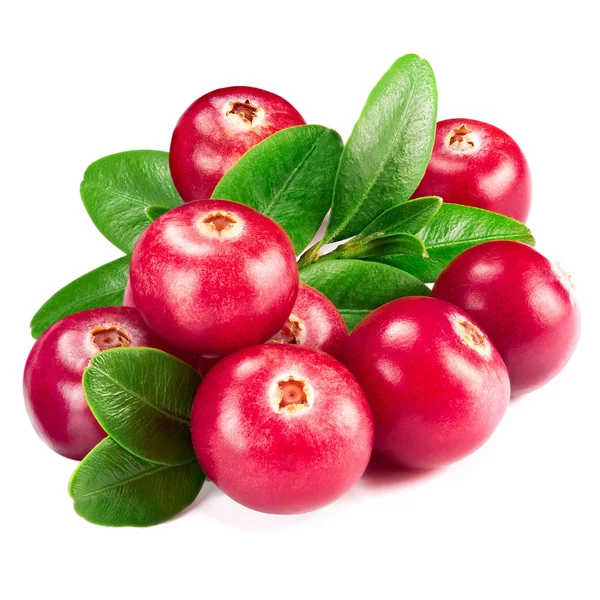 Cranberries — Stock Photo, Image