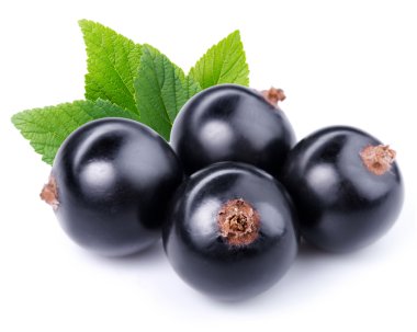 Siyah frenk üzümü
