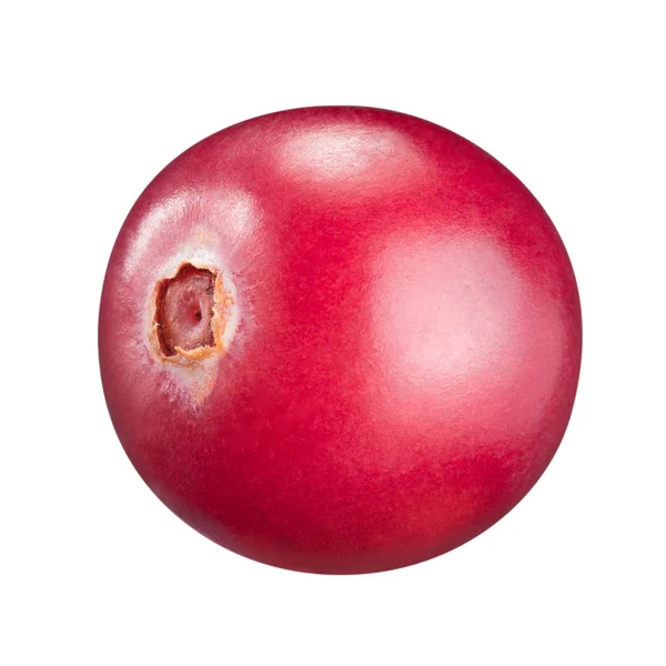Cranberry — Stok Foto
