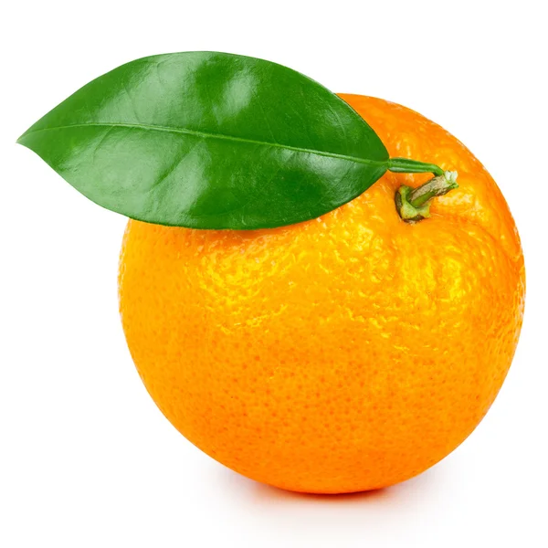 Naranja — Foto de Stock