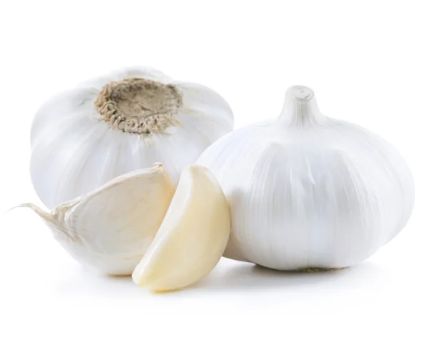 Garlic — Stock Image Garlic Stock Photo