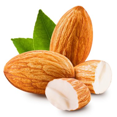almonds clipart